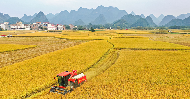 機(jī)械作業(yè)助秋收