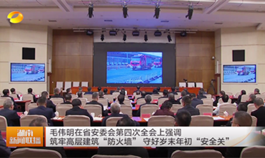 視頻丨毛偉明在省安委會第四次全會上強...